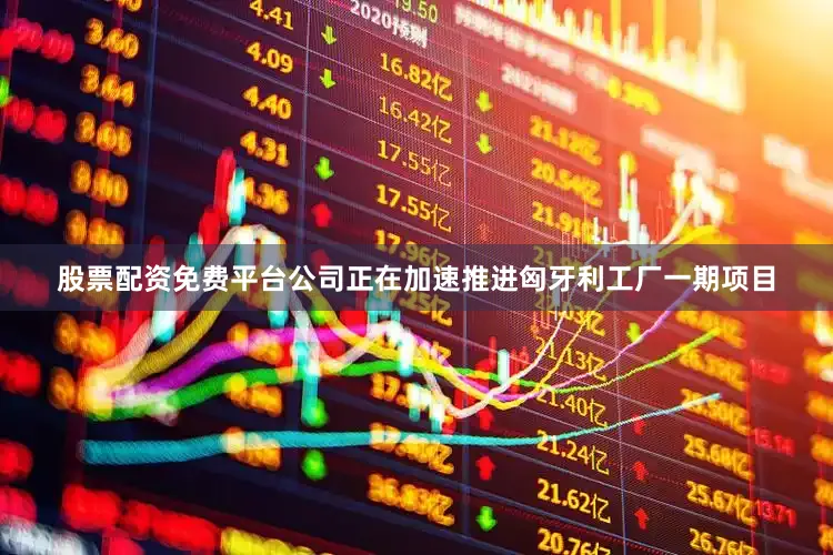 股票配资免费平台公司正在加速推进匈牙利工厂一期项目