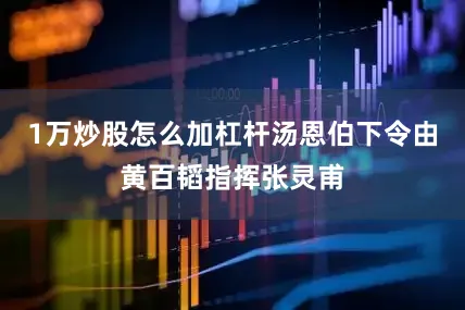 1万炒股怎么加杠杆汤恩伯下令由黄百韬指挥张灵甫