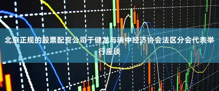 北京正规的股票配资公司于健龙与瑞中经济协会法区分会代表举行座谈