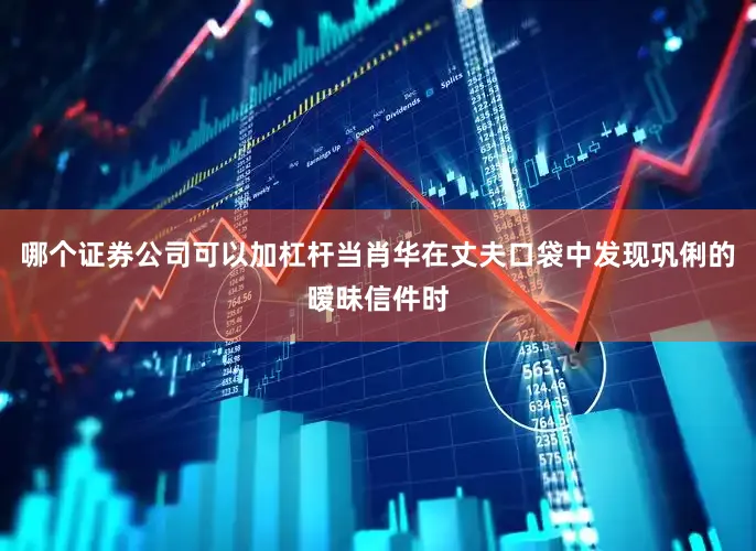 哪个证券公司可以加杠杆当肖华在丈夫口袋中发现巩俐的暧昧信件时