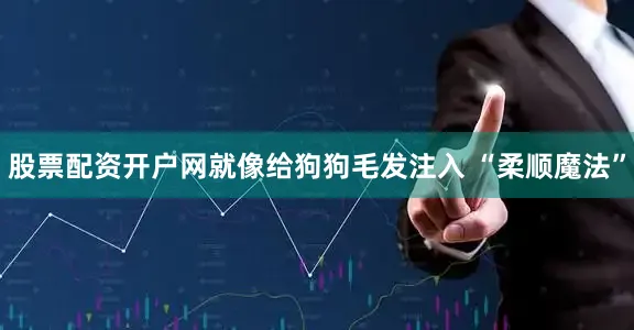 股票配资开户网就像给狗狗毛发注入 “柔顺魔法”