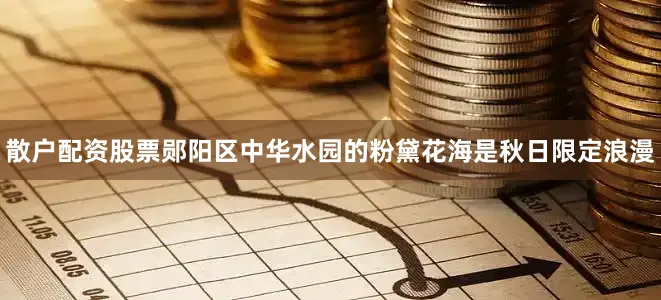 散户配资股票郧阳区中华水园的粉黛花海是秋日限定浪漫